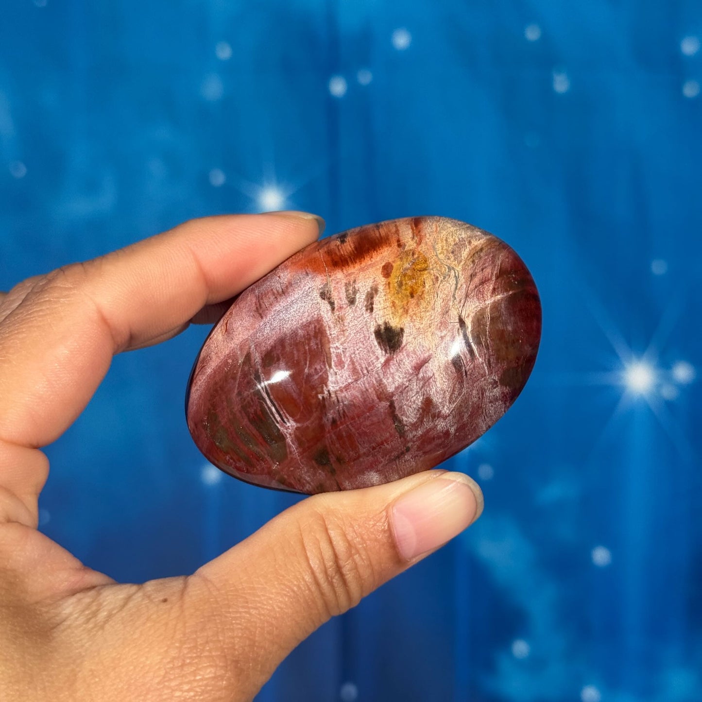 Petrified Wood Palm Stone – 0.119 kg