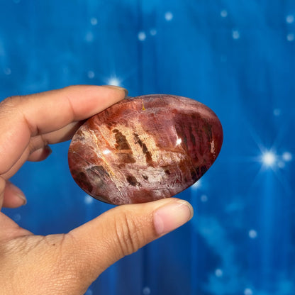 Petrified Wood Palm Stone – 0.119 kg