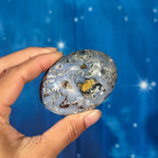 Sea Jasper Palmstone – 0.096 kg