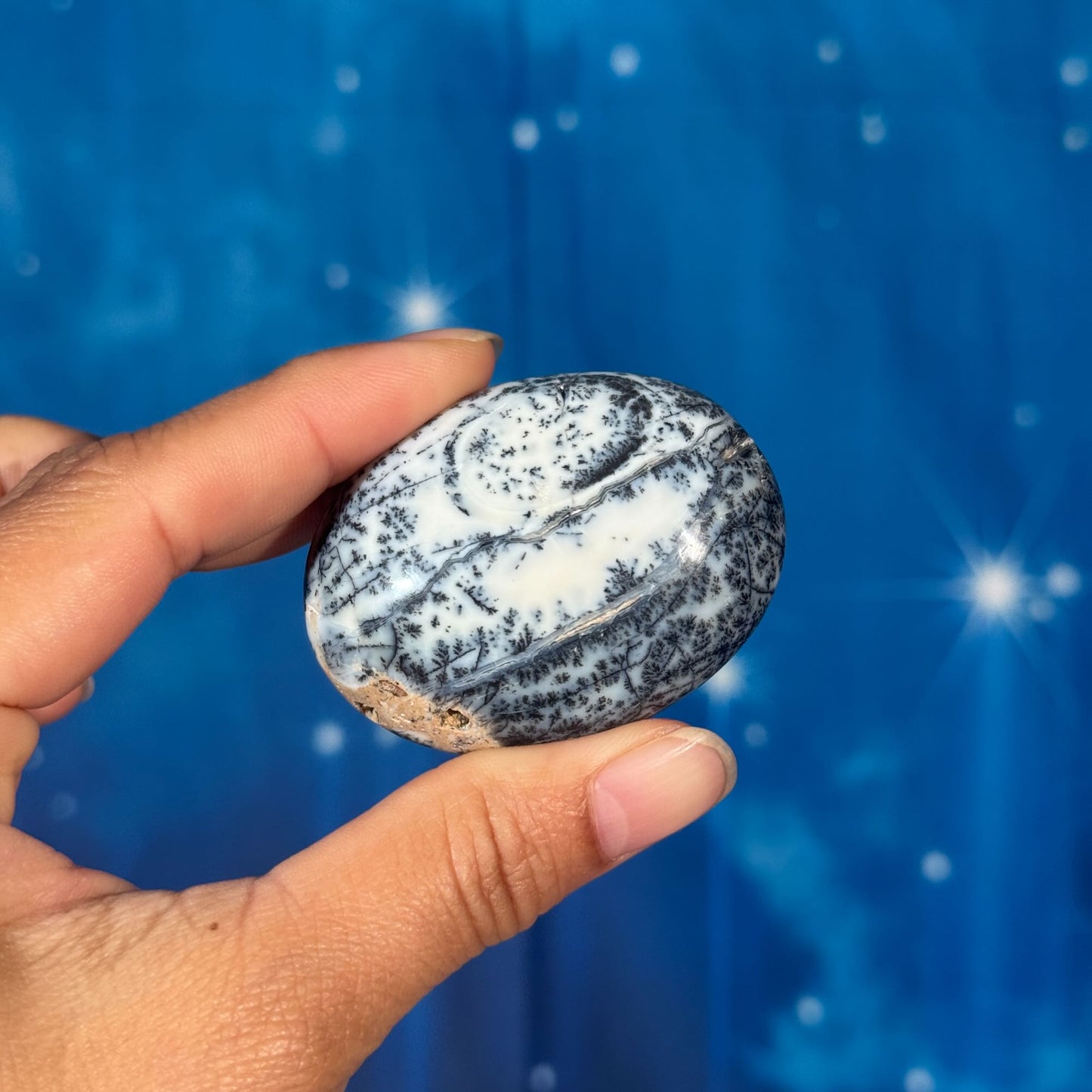 Dendritic Agate Palm Stone – 0.059 kg
