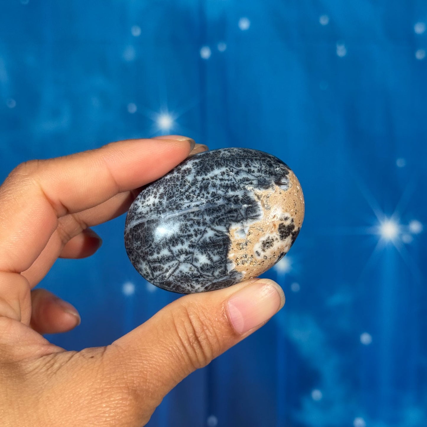 Dendritic Agate Palm Stone – 0.059 kg