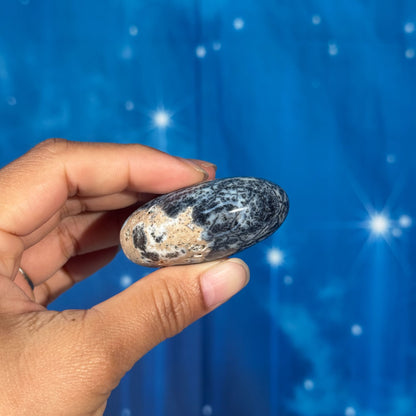 Dendritic Agate Palm Stone – 0.059 kg
