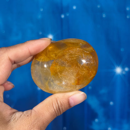 Golden Healer Palm Stone – 0.130 kg