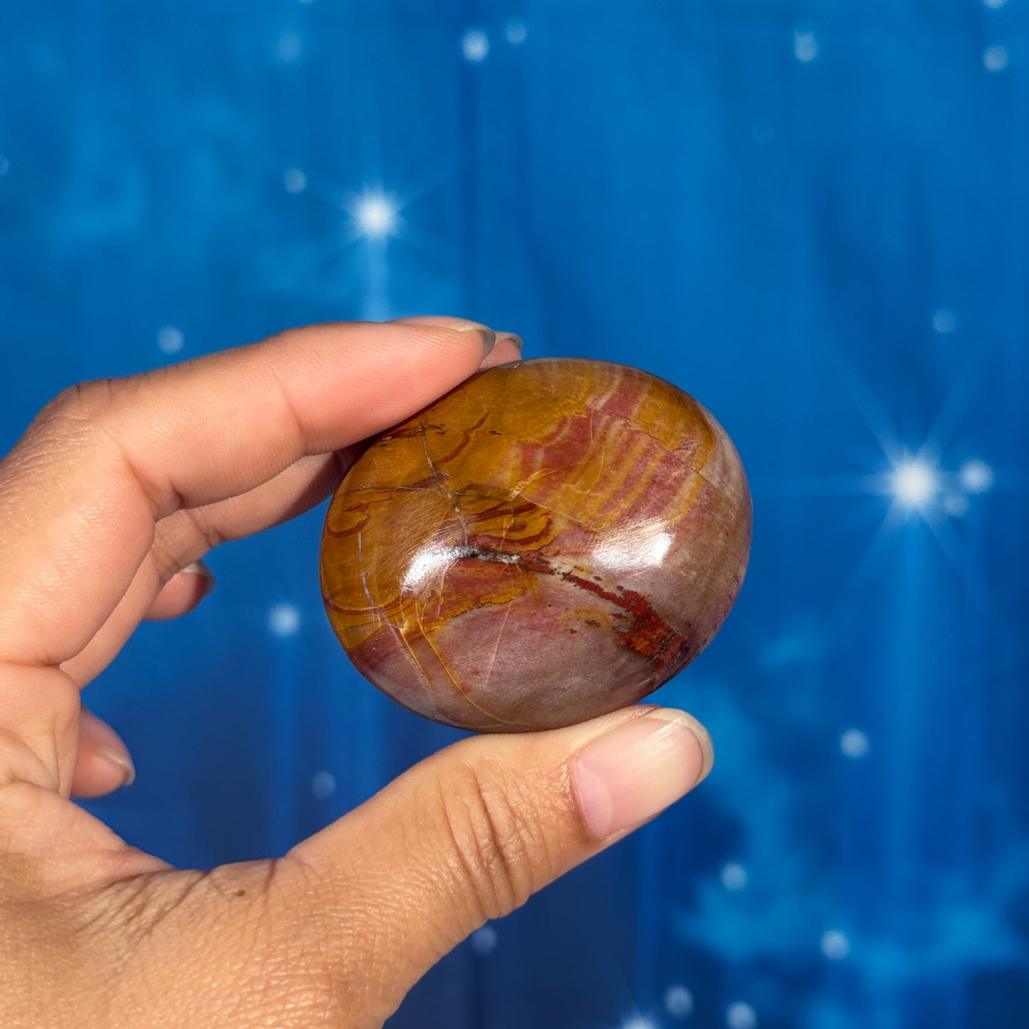 Petrified Wood Palm Stone – 0.094 kg