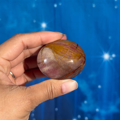 Petrified Wood Palm Stone – 0.094 kg
