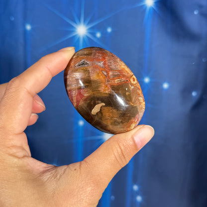 Petrified Wood Palm Stone – 0.105 kg