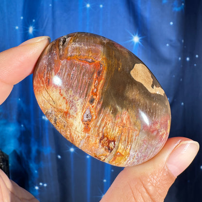 Petrified Wood Palm Stone – 0.105 kg