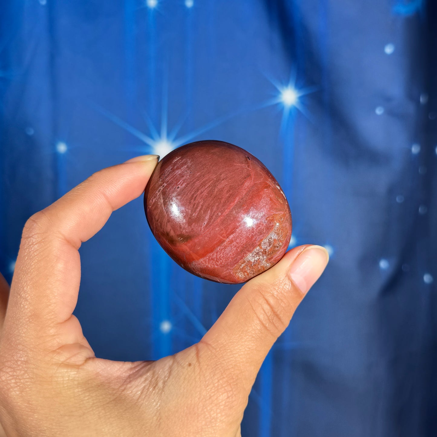 Petrified Wood Palm Stone – 0.105 kg