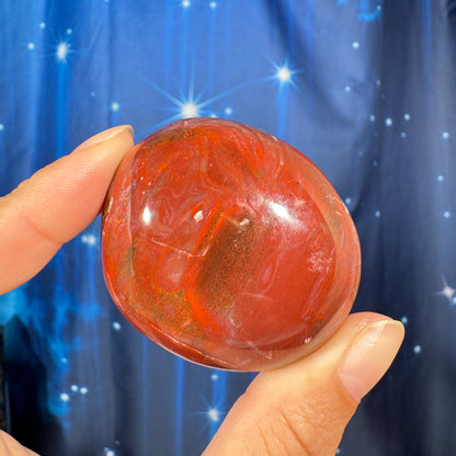 Petrified Wood Palm Stone – 0.105 kg