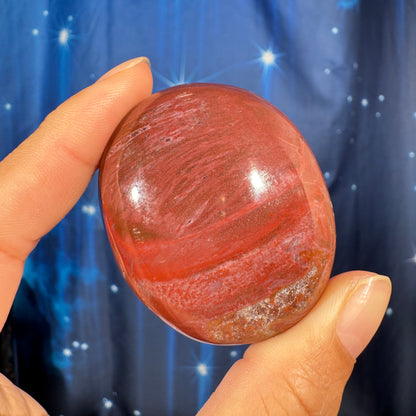 Petrified Wood Palm Stone – 0.105 kg