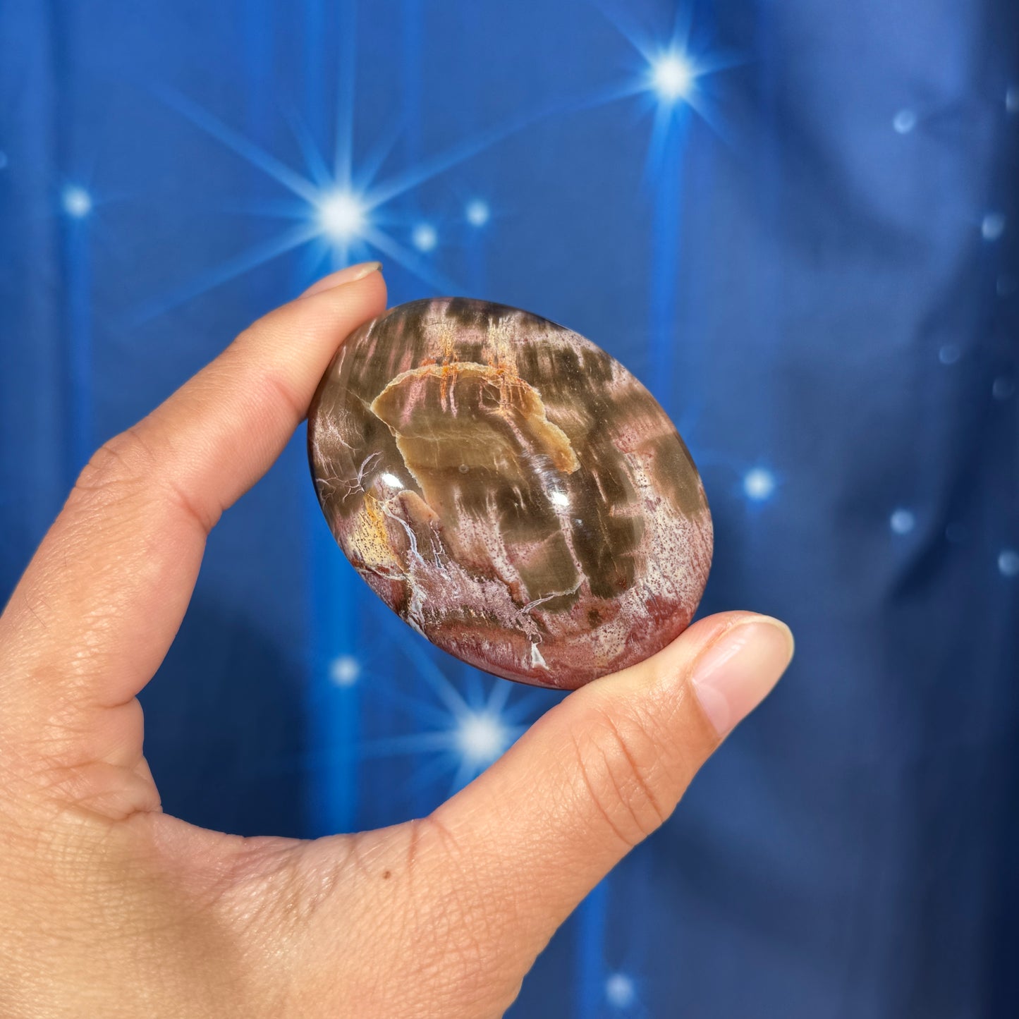 Petrified Wood Palm Stone – 0.105 kg