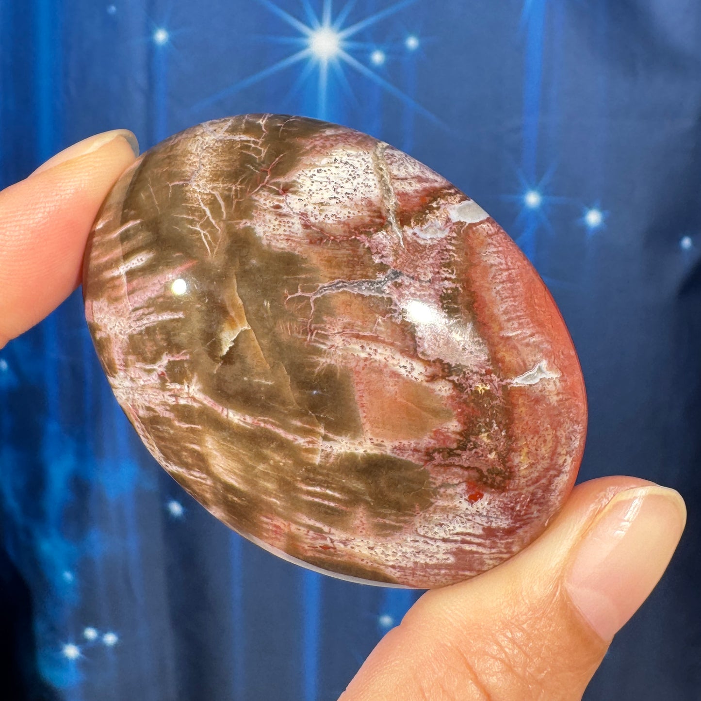 Petrified Wood Palm Stone – 0.105 kg