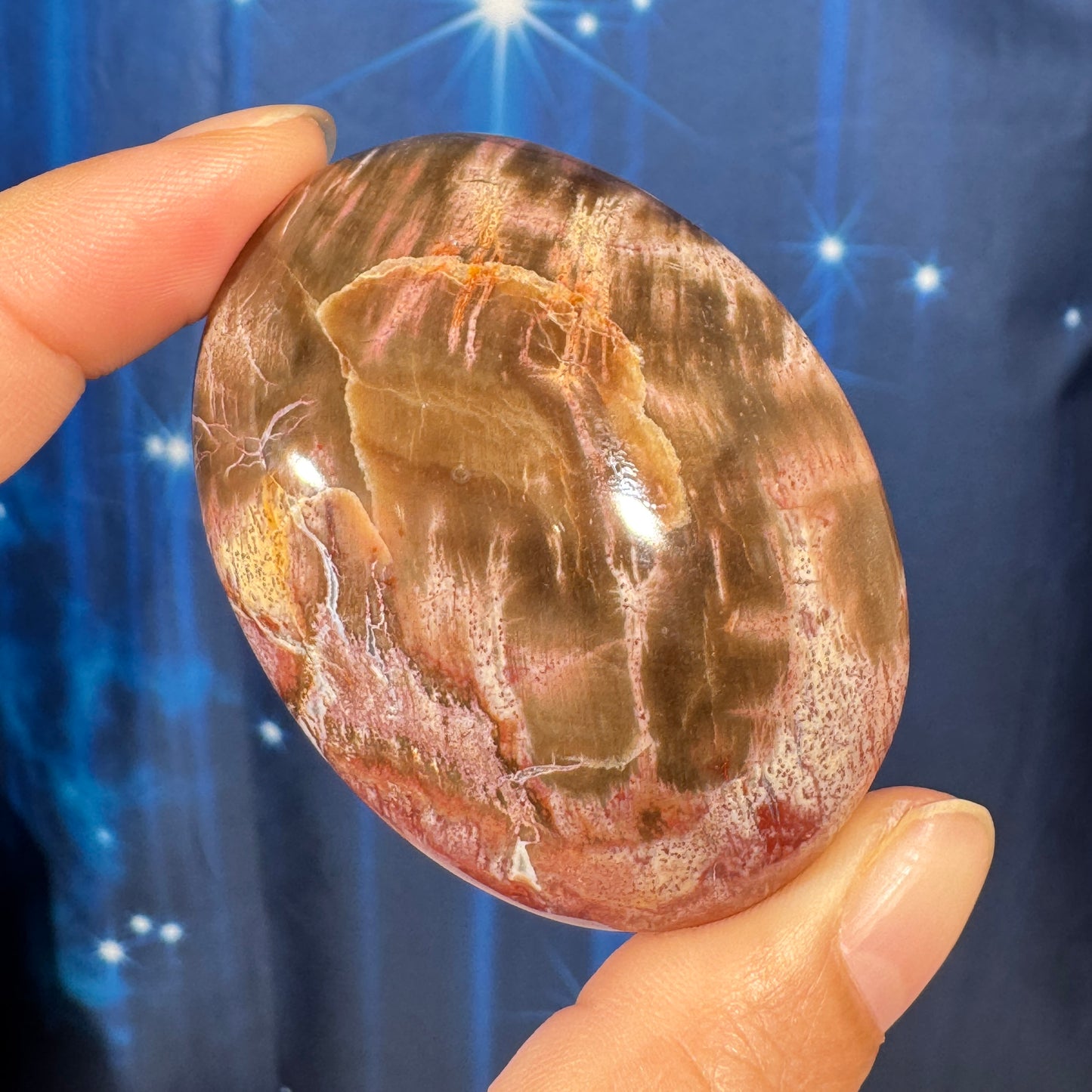 Petrified Wood Palm Stone – 0.105 kg