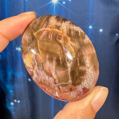 Petrified Wood Palm Stone – 0.105 kg