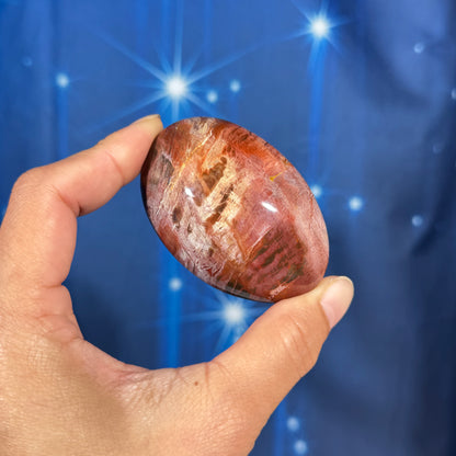 Petrified Wood Palm Stone – 0.119 kg