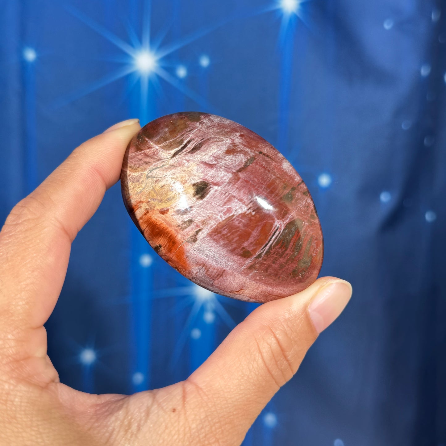 Petrified Wood Palm Stone – 0.119 kg