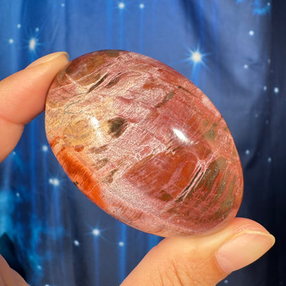 Petrified Wood Palm Stone – 0.119 kg