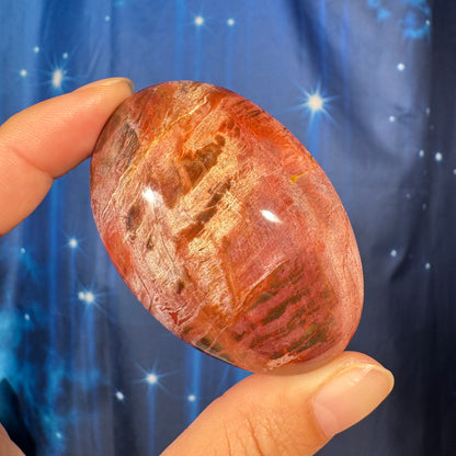 Petrified Wood Palm Stone – 0.119 kg