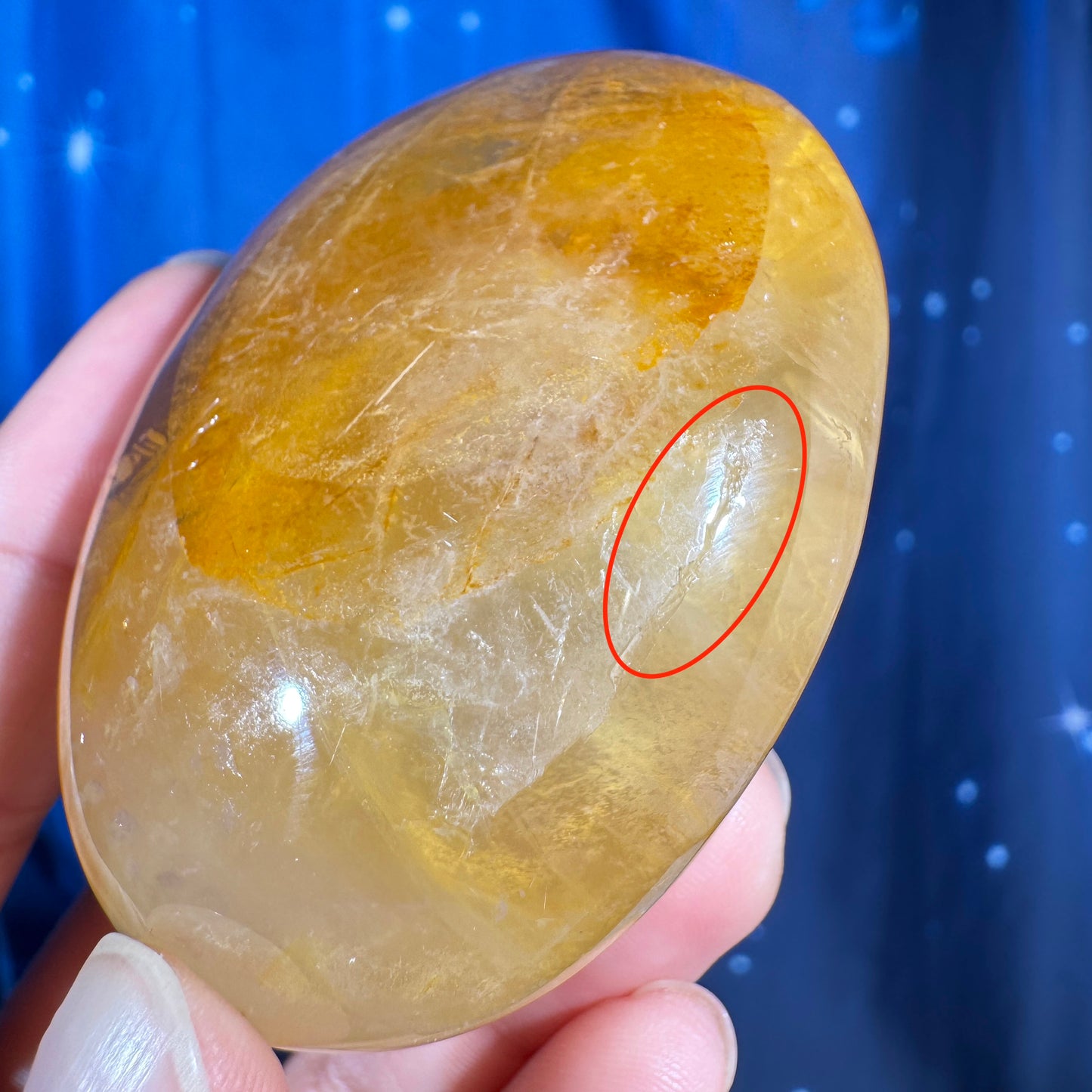 Golden Healer Palm Stone – 0.130 kg