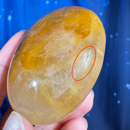 Golden Healer Palm Stone – 0.130 kg