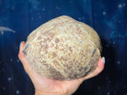 XL Agate Geode | 6" long | 1.520 kilograms | NO PAIR | mini rainbows | Dendrite inclusions