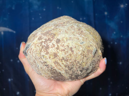 XL Agate Geode | 6" long | 1.520 kilograms | NO PAIR | mini rainbows | Dendrite inclusions