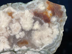 Unpolished Flower Agate slab | 4 1/8” long | 206 grams | matte look | NOT self-standing