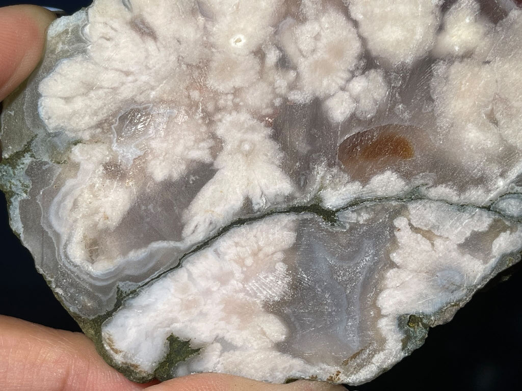 Unpolished Flower Agate slab | 4 1/8” long | 206 grams | matte look | NOT self-standing