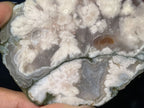 Unpolished Flower Agate slab | 4 1/8” long | 206 grams | matte look | NOT self-standing