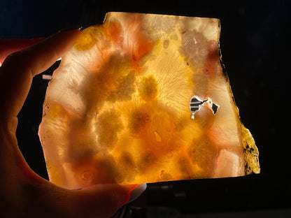 Unpolished Flower Agate slab | 5” long | 260 grams | DOES self-stand | matte look