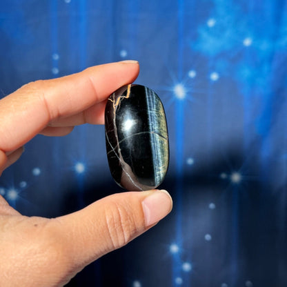 Blue Tiger's Eye Palm Stone | 1 3/4" long | 38 grams | flashy blue