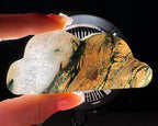 Moss Agate cloud | 3 3/4” long | 93 grams | DOES self-stand