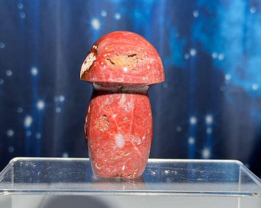 Druzy Red Sea Jasper mushroom carving | 3 1/8" tall | 204 grams
