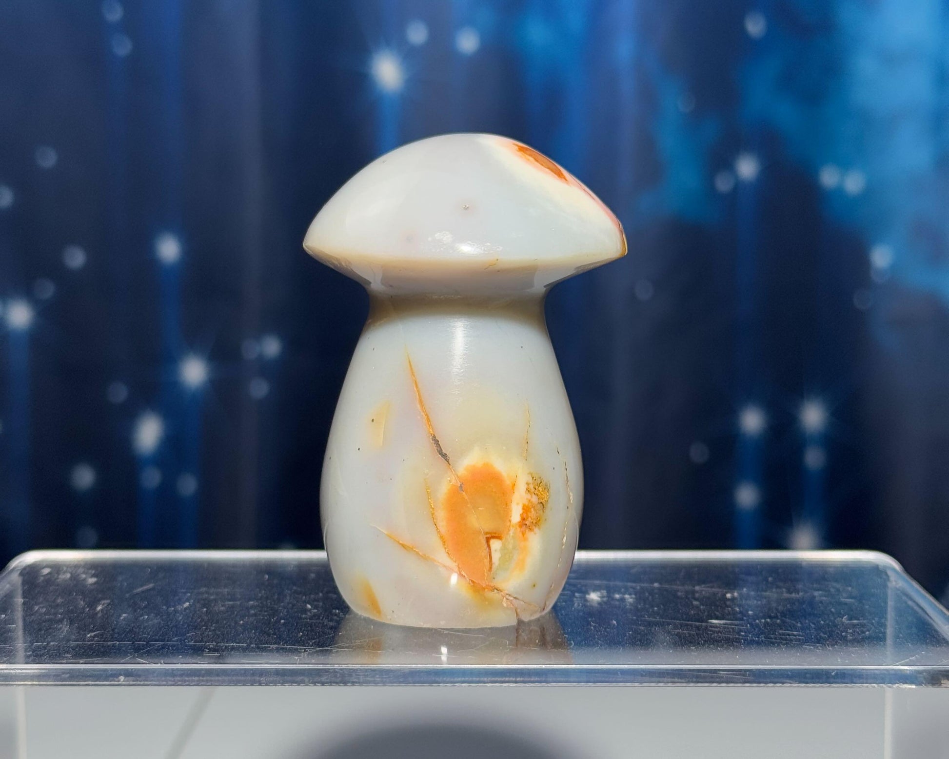 Sea Jasper mushroom carving | 2 3/4" tall | 170 grams | Pyrite sprinkles