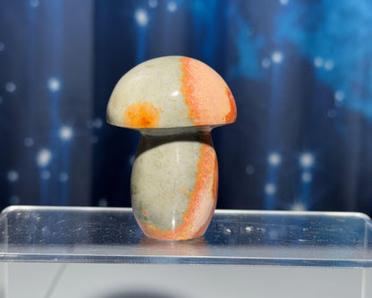 Polychrome Jasper mushroom | 2 3/8" tall | 119 grams | Desert Jasper | Damage Discount