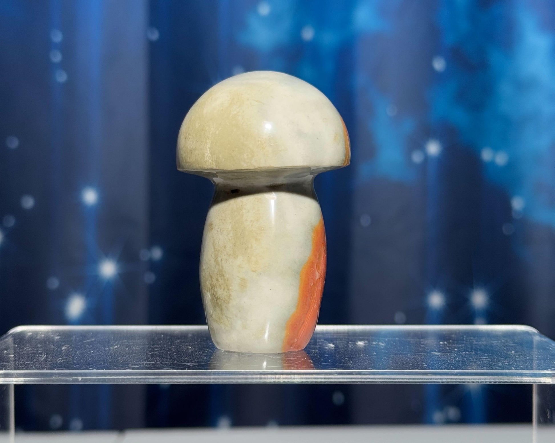 Polychrome Jasper mushroom | 2 5/8" tall | 132 grams | Desert Jasper
