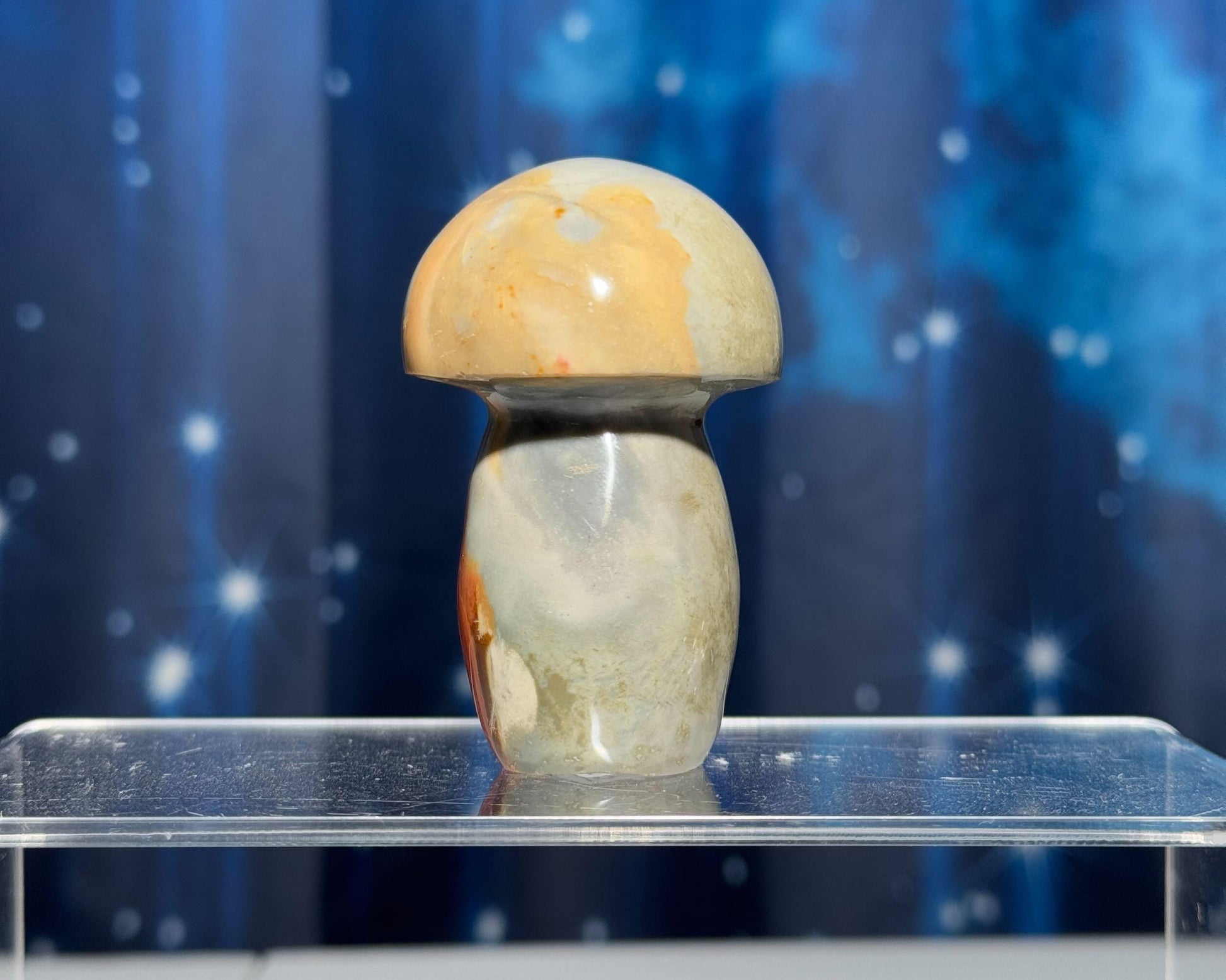 Polychrome Jasper mushroom | 2 5/8" tall | 132 grams | Desert Jasper