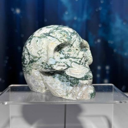 druzy Moss Agate skull | 4 1/8" long | 785 grams | large skull |
