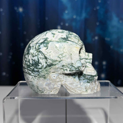 druzy Moss Agate skull | 4 1/8" long | 785 grams | large skull |