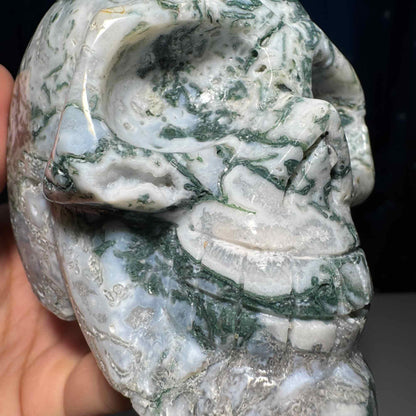 druzy Moss Agate skull | 4 1/8" long | 785 grams | large skull |