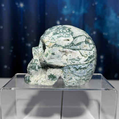 druzy Moss Agate skull | 4 1/8" long | 785 grams | large skull |