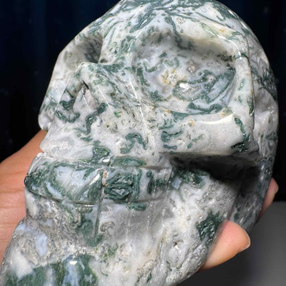 druzy Moss Agate skull | 4 1/8" long | 785 grams | large skull |
