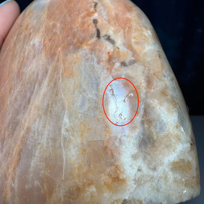 flashy Peach Moonstone free form | 4" tall | 462 grams | dual flash | Damage Discount