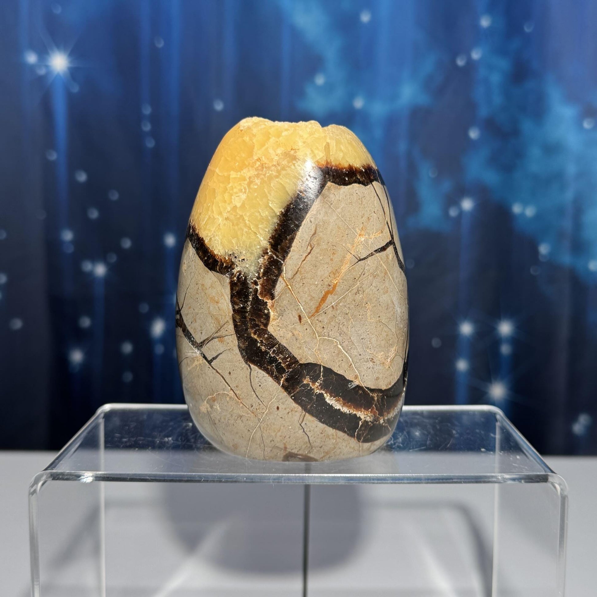 Septarian Geode free form | 4" tall | 816 grams | Damage Discount