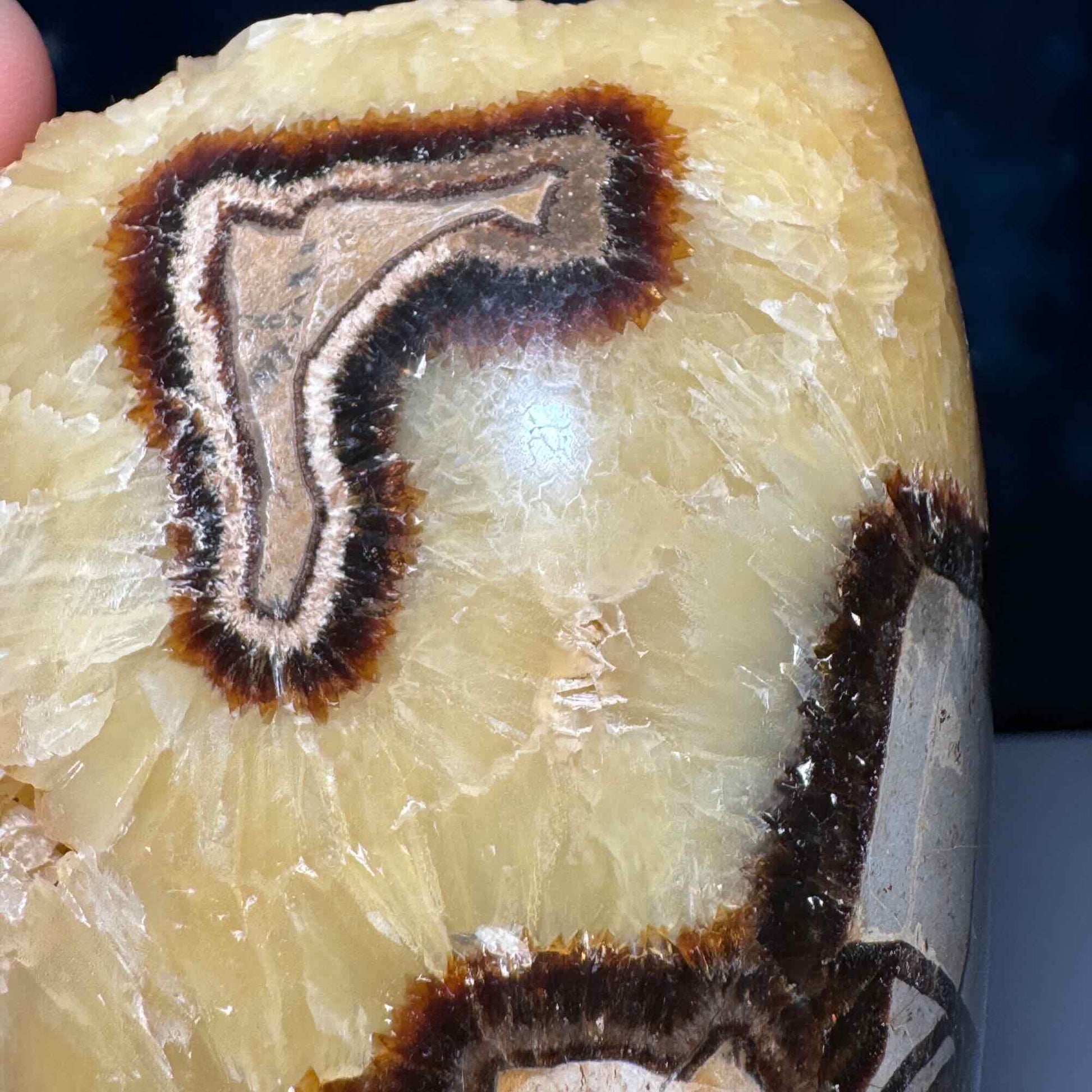 Septarian Geode free form | 4" tall | 816 grams | Damage Discount