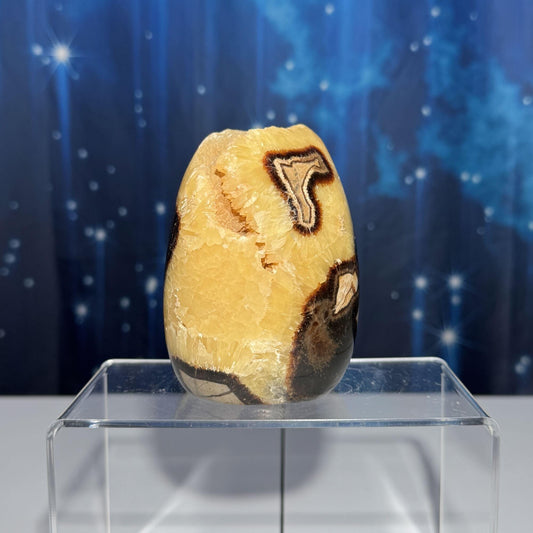 Septarian Geode free form | 4" tall | 816 grams | Damage Discount
