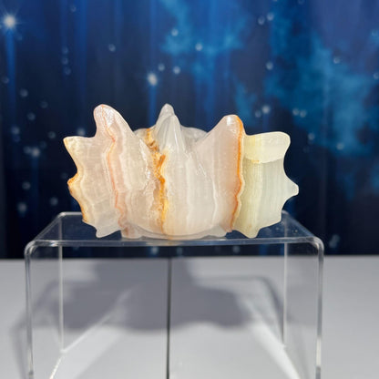 Banded Calcite dragon head carving | 5 1/8" long | 802 grams | banded marble