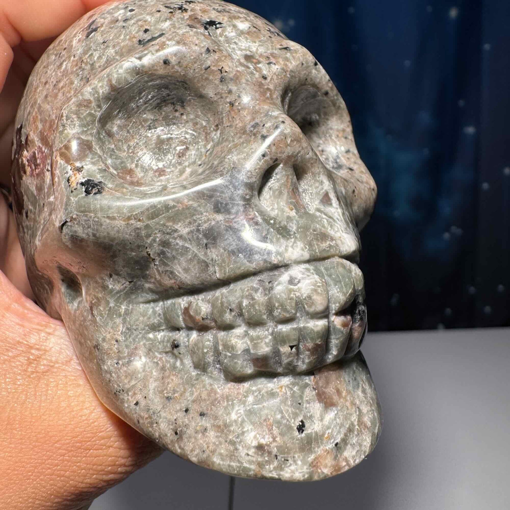 Sodalite Syenite skull | 3 3/4” long | 644 grams | UV reactive Sodalite