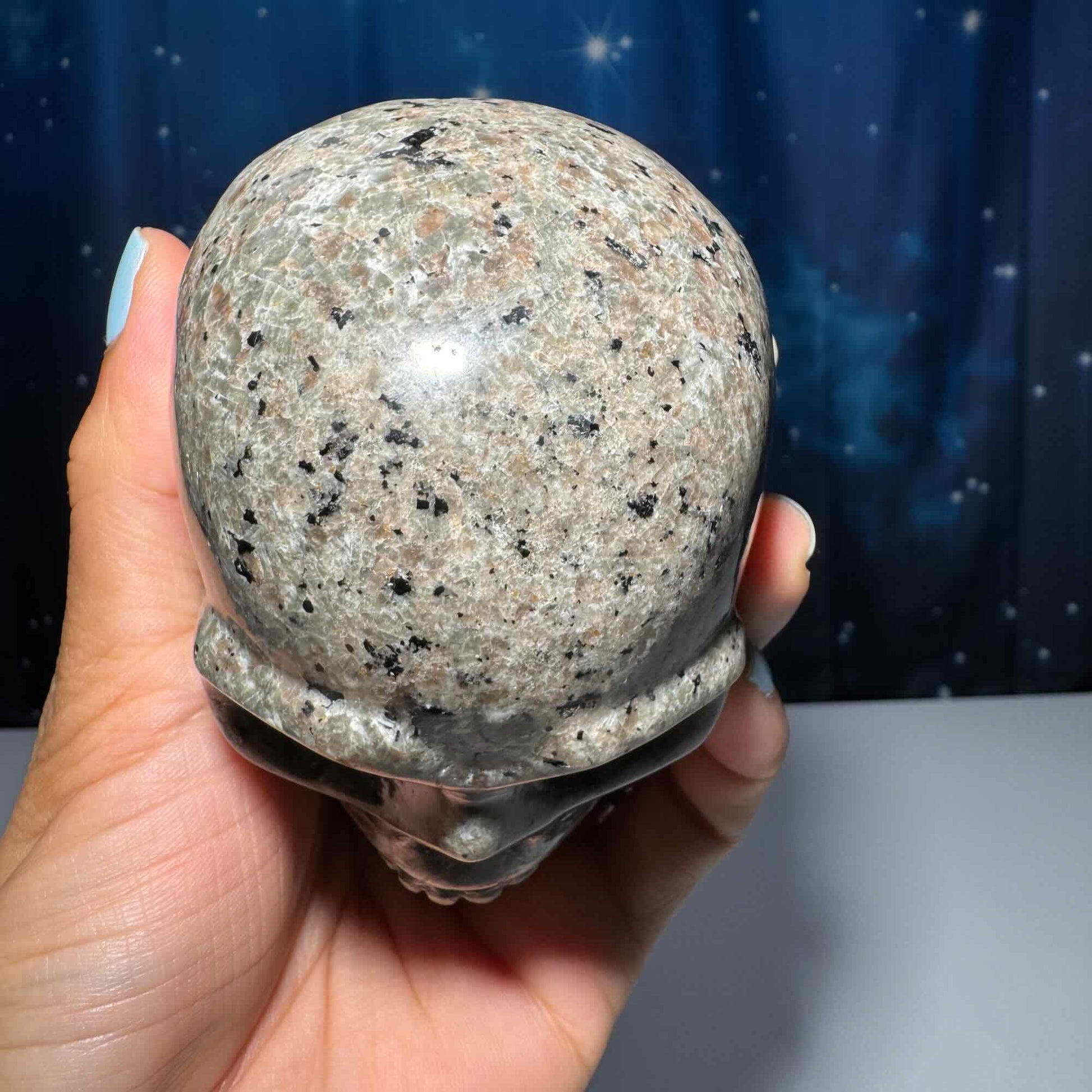 Sodalite Syenite skull | 3 3/4” long | 644 grams | UV reactive Sodalite