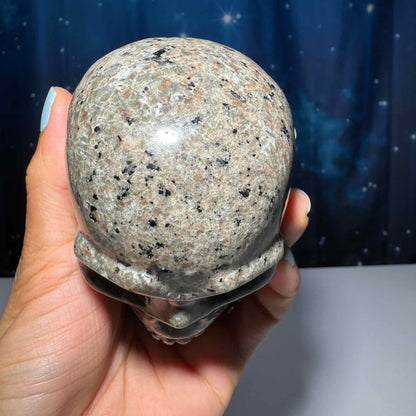 Sodalite Syenite skull | 3 3/4” long | 644 grams | UV reactive Sodalite